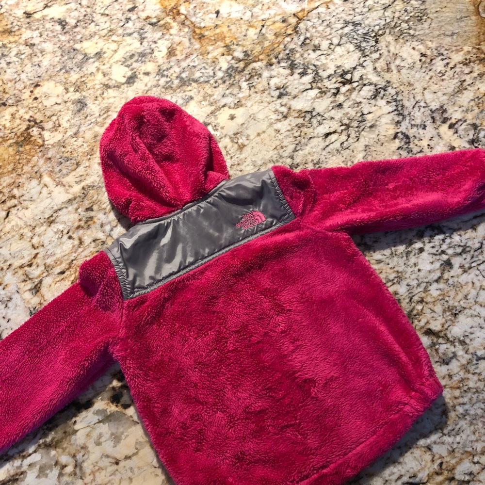 Toddler North Face Fleece Jacket
